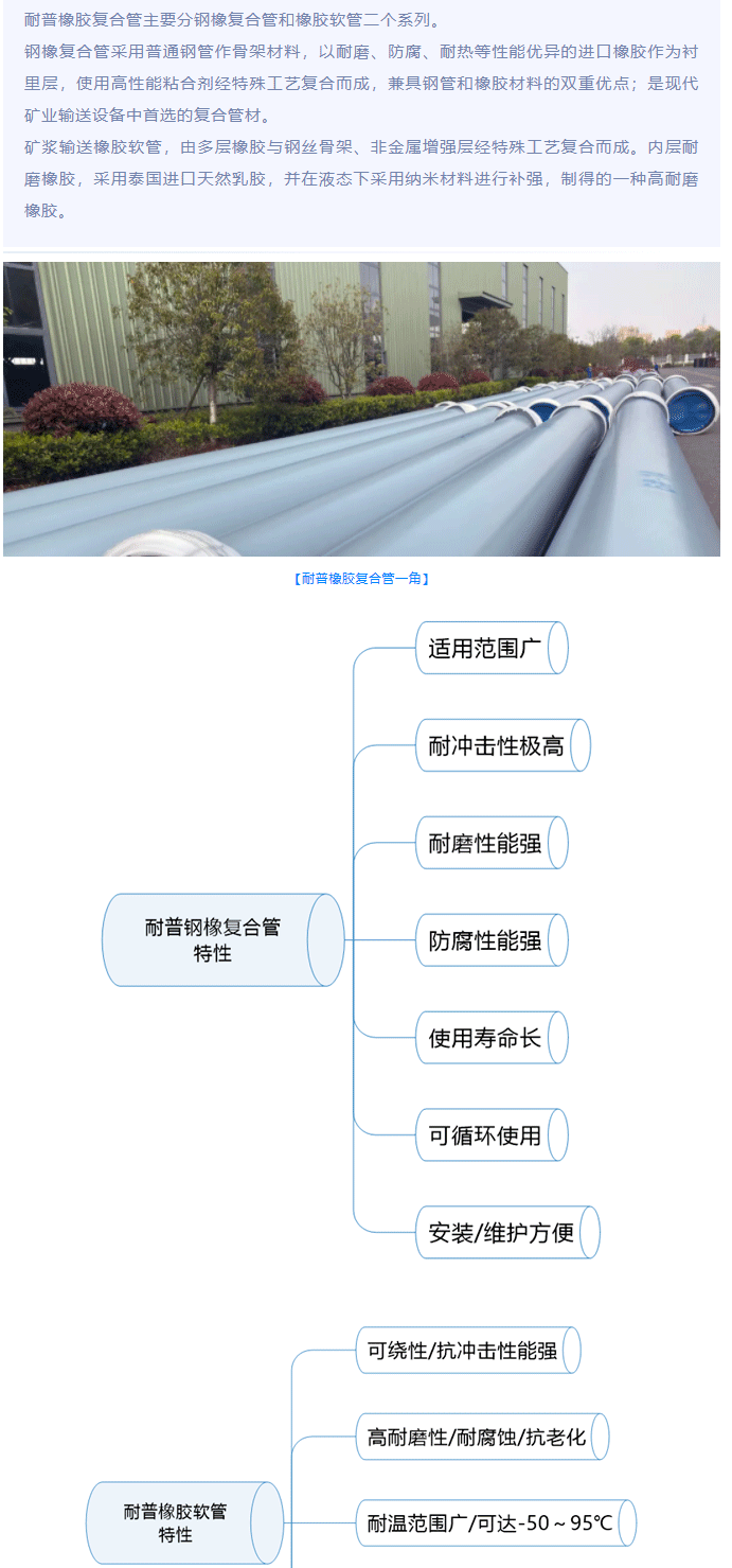 8-long8()Ψһٷվ