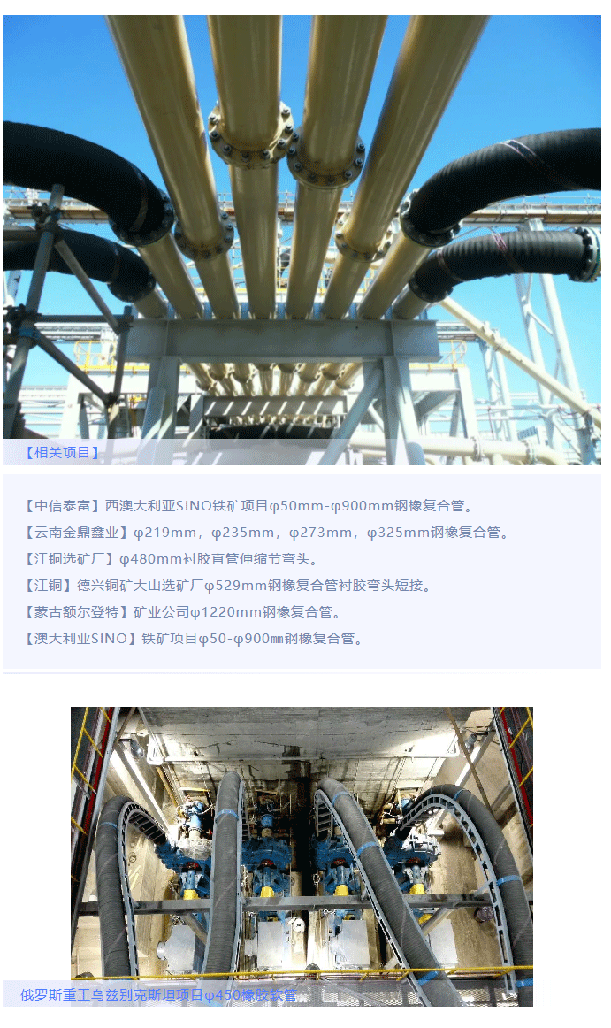 8-long8()Ψһٷվ